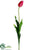 Tulip Spray - Pink - Pack of 12