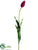 Tulip Spray - Wine - Pack of 12