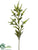 Spike Veronica Spray - Green - Pack of 12