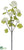 Viburnum Spray - Cream - Pack of 12