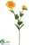 Zinnia Spray - Yellow Gold - Pack of 12