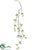 Jasmine Hanging Vine - White - Pack of 12