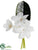 Stephanotis Boutonniere - White - Pack of 12