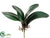 Phalaenopsis Orchid Leaf Spray - Green - Pack of 12