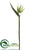 Bird of Paradise Spray - Green - Pack of 6