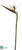 Bird of Paradise Spray - White Green - Pack of 6