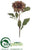 Dahlia Spray - Coffee - Pack of 6