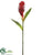 Ginger Flower Spray - Red - Pack of 6