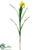 Dutch Iris Spray - Yellow - Pack of 12