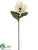 Magnolia Spray - White - Pack of 6