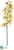 Phalaenopsis Orchid Spray - Mustard - Pack of 6