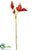 Disa Orchid Spray - Orange - Pack of 12