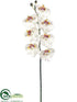 Silk Plants Direct Phalaenopsis Orchid Spray - White - Pack of 6