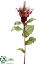 Silk Plants Direct Protea Spray - Burgundy - Pack of 12