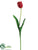 Tulip Spray - Red - Pack of 12