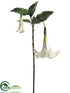 Silk Plants Direct Angel Trumpet Spray - Cream - Pack of 6