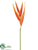 Heliconia Spray - Orange - Pack of 12