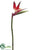 Large Bird of Paradise Spray - Red Orange - Pack of 6