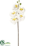 Silk Plants Direct Large Phalaenopsis Orchid Spray - Cream White - Pack of 6