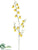 Oncidium Orchid Spray - Yellow - Pack of 12