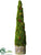 Moss Cone Topiary - Green - Pack of 1