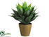 Silk Plants Direct Agave Plant - Green - Pack of 6