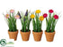 Silk Plants Direct Ranunculus, Muscari - Assorted - Pack of 24