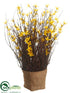 Silk Plants Direct Forsythia - Yellow - Pack of 6