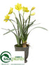 Silk Plants Direct Daffodil - Yellow - Pack of 4