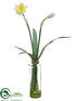 Silk Plants Direct Daffodil - White Yellow - Pack of 12