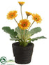 Silk Plants Direct Gerbera Daisy - Yellow - Pack of 6