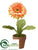 Gerbera Daisy - Orange - Pack of 4