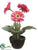 Gerbera Daisy - Pink - Pack of 4