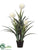 Flower Plant - White Green - Pack of 2