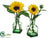 Sunflower - Yellow - Pack of 12