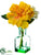 Dahlia, Hydrangea - Yellow White - Pack of 12