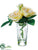 Rose - White Cream - Pack of 12