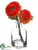 Ranunculus - Flame - Pack of 6