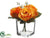 Rose Bud - Orange Two Tone - Pack of 6