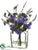 Sweet Pea, Lavender - Violet - Pack of 6