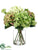 Hydrangea, Snowball - Green Cream - Pack of 1