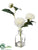 Dahlia - White - Pack of 12