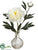 Peony - Cream - Pack of 8