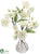 Cherry Blossom - White - Pack of 12