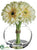 Gerbera Daisy - Yellow Light - Pack of 4