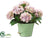 Hydrangea - Lavender Pastel - Pack of 1