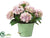 Hydrangea - Lavender Pastel - Pack of 1