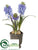 Hyacinth - Blue - Pack of 4