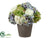 Hydrangea - Green Delphinium - Pack of 4