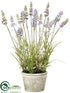 Silk Plants Direct Lavender - Lavender - Pack of 6